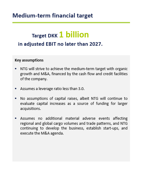 Medium-term financial target